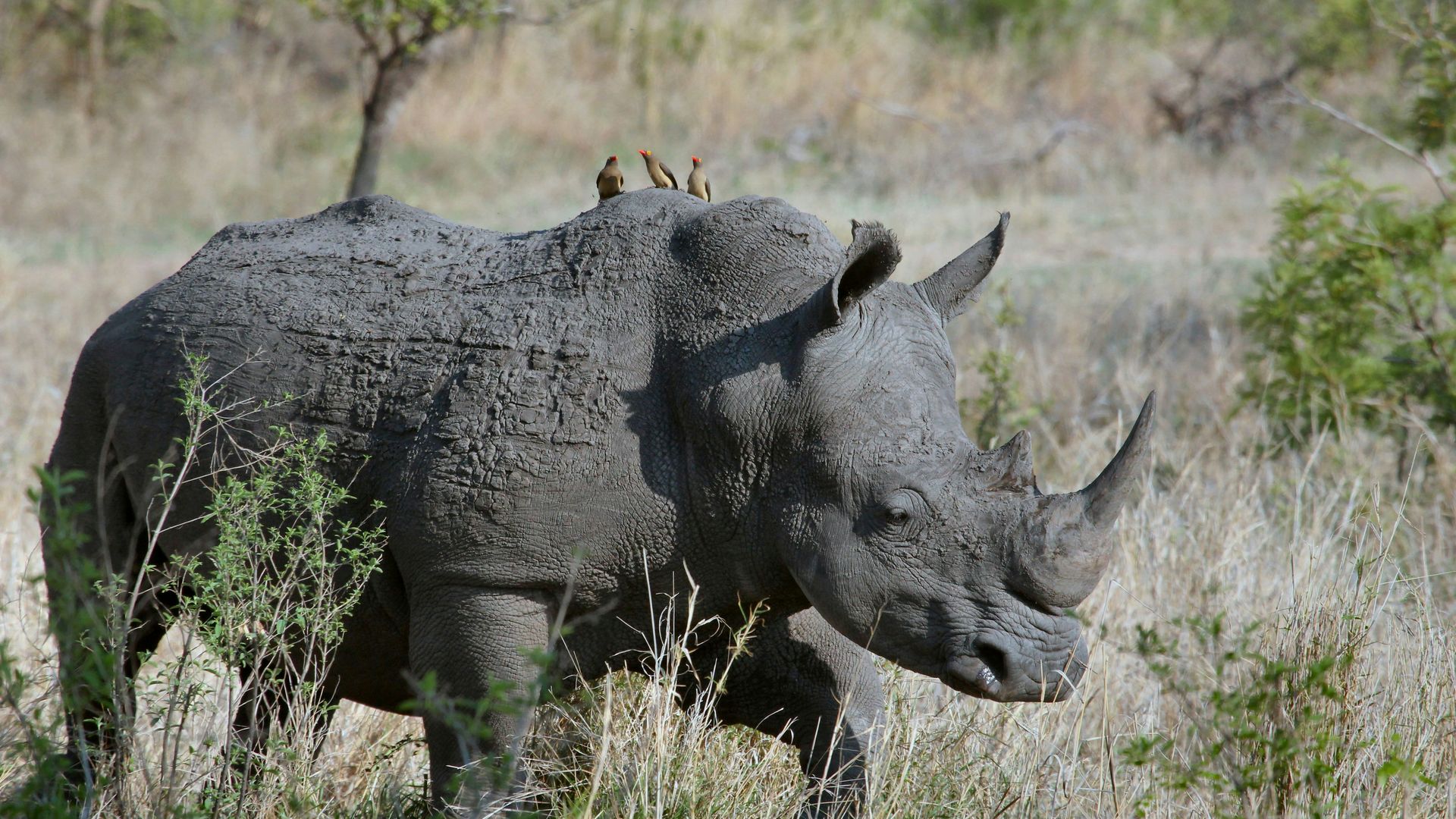 Hoe kies je de beste rondreis door Zuid-Afrika? | Matoke Tours